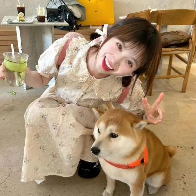 飞翔的魔女