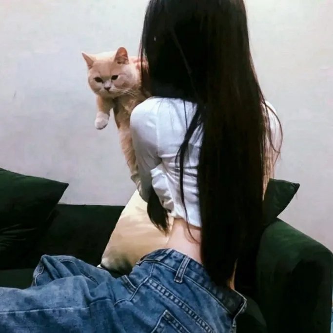 无爱